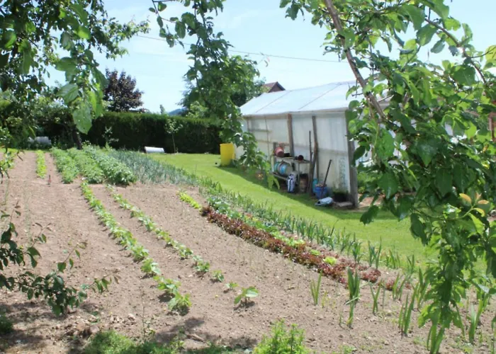 別荘 Les Cerisiers Sevelinges