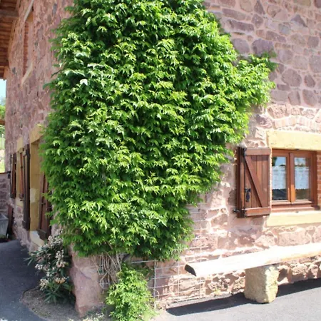 Les Cerisiers Holiday home Sevelinges